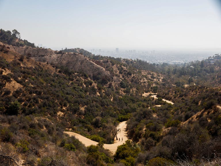 View from Griffith Park trail