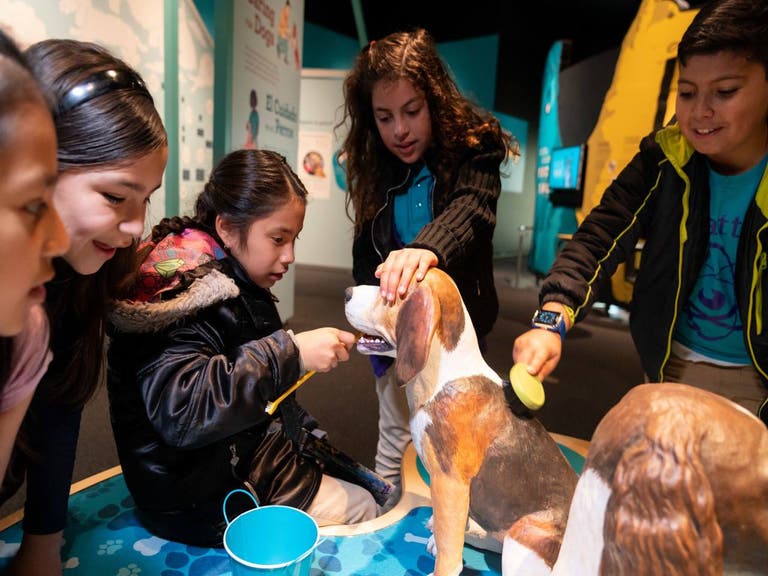 Dogs! A Science Tail at California Science Center | Photo: Wallis Annenberg PetSpace, Facebook