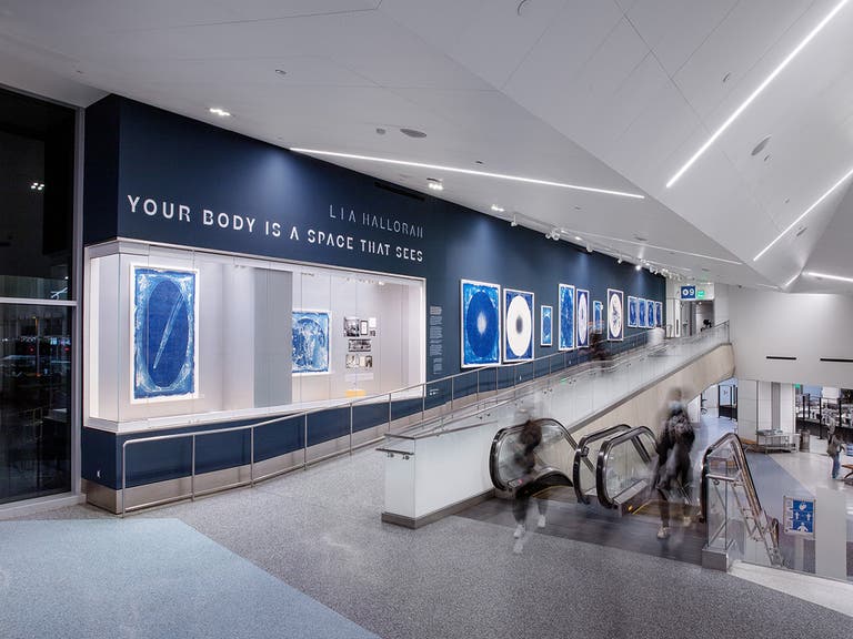 Lia Halloran, "Your Body is a Space That Sees" installation on view in Terminal 1 at LAX